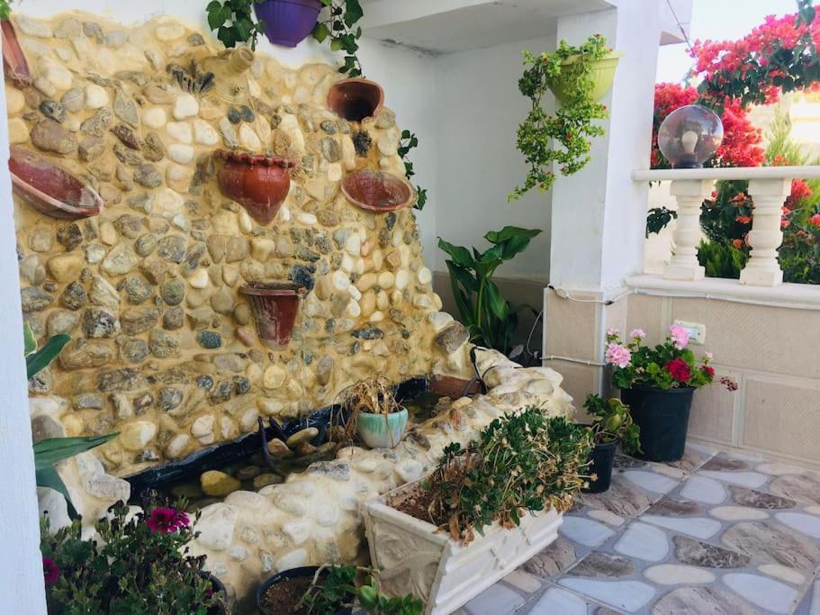 אום קאיס بيت العُمري מראה חיצוני תמונה
